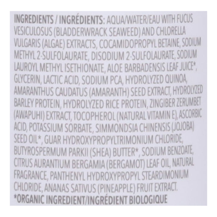 The Seaweed Bath Co - Gloss Shampoo Ssalt Brgmt - Ea Of 1-12 Fz